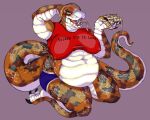 anthro belly big_belly big_breasts breasts clothed clothing colubrid eating eidoloneerie female food gainer kingsnake lamis_(cokotheschnoot) lampropeltini overweight overweight_female pineapple_pizza pizza reptile sagging_breasts scalie shirt skimpy snake solo t-shirt the_cure topwear visible_nipples