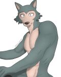 abs anthro beastars canid canine canis diko_artz hi_res legoshi_(beastars) looking_at_viewer male mammal muscular muscular_male pecs solo wolf