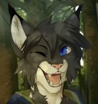 ambiguous_gender anthro blue_clothing blue_eyes blue_topwear bust_portrait cheek_tuft clothed clothing corzh77 day dipstick_ears ear_tuft facial_tuft felid feline front_view fur glistening glistening_eyes grey_body grey_fur grey_hair hair hi_res looking_at_viewer lynx mammal multicolored_ears one_eye_closed open_mouth open_smile outside pink_nose pink_tongue plant portrait short_hair smile solo tongue topwear tree tuft white_body white_fur
