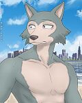 anthro beach beastars canid canine canis city_skyline cloud diko_artz hi_res legoshi_(beastars) male mammal muscular muscular_male outside pecs sea seaside sky solo water wolf