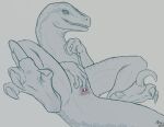 aesyr animal_genitalia bedroom_eyes blue blue_(jurassic_world) claws cloaca dinosaur dromaeosaurid female feral gaping gaping_cloaca genitals half-closed_eyes horizontal_cloaca inviting jurassic_park jurassic_world looking_at_viewer lying masturbation narrowed_eyes on_back presenting presenting_cloaca pupils reptile scalie seductive sharp_teeth slit smile solo spread_cloaca spread_legs spreading teeth theropod universal_studios velociraptor