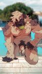 absurd_res animal_genitalia anthro ball_tuft balls brown_body brown_fur canid canine canis clothing domestic_dog fingerless_(marking) fingers fur genitals hi_res male mammal multicolored_body multicolored_fur muscular muscular_anthro muscular_male patto pool poolside pubes sheath shirt solo tail tan_body tank_top tennis_ball_in_mouth topwear tuft water