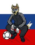  alcohol anthro ball beverage blue_eyes caffeinecat canine clothed clothing digital_media_(artwork) eyewear fifa fur goggles gopnik male mammal mascot russia russian smoking sport tracksuit vodka wolf zabivaka 