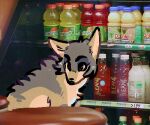 2023 aliasing ambiguous_gender beverage beverage_bottle black_eyebrows brown_eyes canid canine canis cheek_tuft coyote digital_drawing_(artwork) digital_media_(artwork) dole draw_over eyebrows eyelashes facial_tuft female_(lore) feral flat_colors fur gatorade grey_body grey_fur low_res mammal orange_juice photo_background photography_(artwork) sage_(tansydrawsnsfw) solo tan_body tan_fur tan_inner_ear tansydrawsnsfw tuft