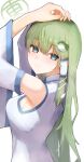  1girl absurdres blush breasts closed_mouth commentary detached_sleeves frog_hair_ornament green_eyes green_hair hair_ornament hair_tubes hands_on_own_head highres kochiya_sanae long_hair looking_at_viewer pollux368 single_hair_tube smile snake_hair_ornament solo touhou 