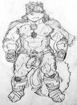  anthro canine horkeukamui male mammal muscular muscular_male penis simple_background solo tokyo_afterschool_summoners wolf 