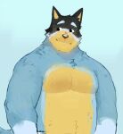  1boy bandit_heeler bara belly black_hair blue_fur bluey dog_boy furry furry_male highres light_smile looking_to_the_side makfuno male_focus mature_male muscular muscular_male no_nipples nude plump short_hair smile solo sparse_stubble stomach tareme thick_eyebrows upper_body 