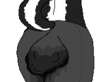 anthro bottomwear clothing feces female low_res mammal mephitid pants scat skunk skunk_tail thumbnail yoga_pants