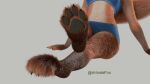 3d_(artwork) animated anthro arlindafox bean canid canine digital_media_(artwork) fox mammal pawpads paws solo