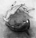  anthro black_tipped_reef_shark cetacean fin fish flukes lancefoxx male mammal marine orca out-of-the-boks shark swimming underwater water webbed_feet webbed_hands whale 
