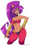  2018 absurd_res blue_eyes breasts capcom clothing dark_skin ear_piercing ear_ring female genie hair hi_res humanoid long_hair navel not_furry open_mouth piercing pointy_ears ponytail purple_hair radlionheart shantae shantae_(series) simple_background solo video_games wayforward 