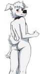 anthro blue_eyes butt canid canine canis collar collar_only domestic_dog embarrassed femboy fur gess11 hair hi_res male mammal multicolored_body multicolored_fur nude pushok short sketch solo tail white_body white_fur