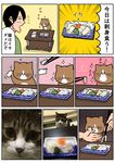  artist_self-insert black_hair cat comic commentary_request kounoike_tsuyoshi original photo translation_request 