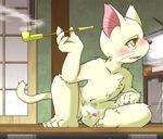  blush cat cum feline japanese male mammal nude orgasm pipe smoking television whiskers 