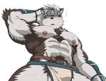  anthro canine horkeukamui male mammal muscular muscular_male nipples simple_background solo tokyo_afterschool_summoners wolf 