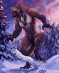  2016 ambiguous_gender brown_fur darkicewolf feral fur hare lagomorph mammal mustelid outside snow sunset white_fur winter wolverine 