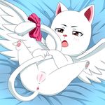  2017 anthro anus blush brown_eyes cat charle clitoris exceed fairy_tail feline female fur lonbluewolf mammal open_mouth presenting presenting_anus presenting_pussy pussy ribbons solo spread_legs spreading tongue white_fur wings 