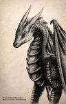  black_and_white bust_(disambiguation) detailed_scales dragon horn invalid_background monochrome pencil_(disambiguation) ricsimane scales scalie traditional_media_(artwork) western_dragon wings 