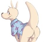  anthro anus balls bottomless butt clothed clothing dandi male mammal marsupial penis presenting presenting_hindquarters rocko simple_background solo wallaby white_background 