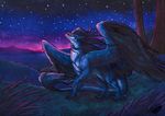  2016 blue_feathers blue_fur blue_hair claws detailed_background dragon feathered_dragon feathered_wings feathers feral fur furred_dragon grass hair natoli open_mouth outside sky smile star starry_sky traditional_media_(artwork) wings 