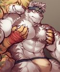  anthro bulge canine feline horkeukamui magan male male/male mammal muscular muscular_male pecs rossciaco simple_background solo tiger tokyo_afterschool_summoners wolf 
