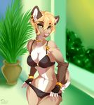  2016 anthro bikini black_body black_bottomwear black_clothing black_fur black_topwear blonde_hair bra bracelet breasts brown_body brown_fur brown_tail camel_toe choker cleavage clothed clothing countershading digital_media_(artwork) ear_piercing female fully_clothed fur gold_(metal) gold_jewelry green_eyes hair hi_res jewelry looking_at_viewer mammal midriff multicolored_fur multicolored_tail navel pacevanrign panties piercing pink_nose pinup plant portrait pose potted_plant ring short_hair solo swimsuit tan_body tan_fur tan_tail three-quarter_portrait underwear undressing unknown_species watermark white_body white_fur white_tail 
