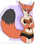  anthro canine clothed clothing crossdressing crossed_arms dtalvi fennec fox girly looking_at_viewer male mammal smile solo standing wide_hips 