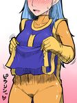  blue_hair blush bodysuit breasts dragon_quest dragon_quest_iii gloves impossible_clothes large_breasts long_hair looking_at_viewer misonou_hirokichi orange_bodysuit priest_(dq3) skin_tight solo spandex tabard 
