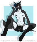  abs anthro canine cigarette clothing dtalvi looking_at_viewer male mammal nipples sitting smile solo spread_legs spreading underwear 