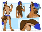  abs anthro balls canine clothing dtalvi fur hair looking_at_viewer male mammal model_sheet smile solo underwear 