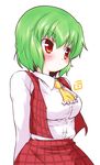  ascot blush breasts commentary_request dress_shirt green_hair highres kazami_yuuka long_sleeves medium_breasts plaid plaid_skirt plaid_vest pout red_eyes red_skirt shirt skirt skirt_set solo touhou uho_(uhoyoshi-o) vest 