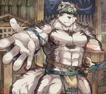  a_a_a303 anthro balls canine horkeukamui male mammal muscular muscular_male simple_background solo tokyo_afterschool_summoners wolf 