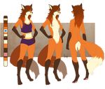  anthro breasts canine clothed clothing female fjorge fox fur hair mammal model_sheet nipples nude pussy skinny solo standing 