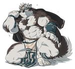  anthro canine horkeukamui male mammal muscular muscular_male pecs simple_background solo takemoto_arashi tokyo_afterschool_summoners wolf 