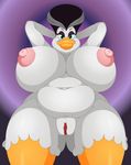  absurd_res anthro areola avian big_breasts bird breasts duck ducktits erect_nipples female hi_res huge_breasts looking_at_viewer morgana_macawber navel nipples nude pussy slightly_chubby smile solo wide_hips 