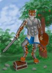  armor clothed clothing feline fully_clothed male mammal melee_weapon shild solo sword tiger tygrysiolowek weapon 