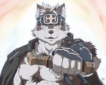  anthro canine horkeukamui male mammal muscular muscular_male pecs simple_background solo tokyo_afterschool_summoners wolf 