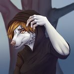  anthro canine clothed clothing evlampyshka female fur hair hoodie looking_at_viewer mammal smile solo 