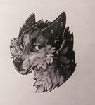  ambiguous_gender canine evlampyshka feral fur looking_at_viewer mammal monochrome smile solo traditional_media_(artwork) 