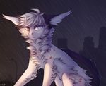  ambiguous_gender evlampyshka feral fur hair horn looking_at_viewer outside raining sergal sitting solo 