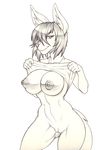  anthro areola autumm_airwave big_breasts bottomless breasts canine clothed clothing female flashing looking_at_viewer mammal nipples pussy smile solo wide_hips 