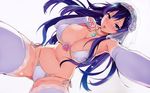  bikini cameltoe erect_nipples maken-ki! nijou_aki swimsuits takeda_hiromitsu thighhighs underboob 