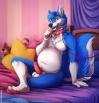  2017 4_toes 5_fingers anthro arm_support balls barefoot bed bedroom belly big_tail biped black_nose blue_eyes blue_fur blue_hair blue_tail canine cheek_tuft chest_tuft claws collar curtains detailed_background digital_media_(artwork) erection fluffy fluffy_tail full-length_portrait fur glans hair hi_res humanoid_penis inner_ear_fluff inside leash looking_at_viewer male mammal multicolored_tail nude on_bed penis pillow pink_penis plushie portrait sitting slightly_chubby smile snout solo stitchie_(character) tazara toe_claws toes tuft two_tone_tail watermark white_balls white_belly white_claws white_fur white_tail wolf 