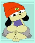 anthro anus balls beanie canid canine chujam clothing genitals hat headgear headwear male mammal parappa parappa_the_rapper perineum sony_corporation sony_interactive_entertainment spread_anus spreading