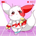  :&lt; camera cub female maverick nintendo pok&#233;mon pokemon pussy recording solo video_games young zangoose 