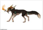  ambiguous_gender canine collar feral fire fur hair mammal simple_background solo standing stick white_background zumjakal 