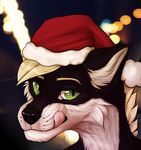  ambiguous_gender anthro canine christmas fur hair hat holidays looking_at_viewer mammal santa_hat smile solo tongue tongue_out zumjakal 