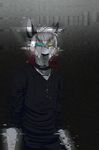  anthro black_nose clothed clothing collar hair heterochromia looking_at_viewer male mammal shen_shepa solo white_hair 
