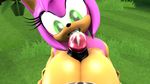  2017 3d_(artwork) amy_rose anthro balls big_breasts big_butt big_penis breasts butt cum digital_media_(artwork) duo ejaculation erect_nipples erection female first_person_view green_eyes hedgehog huge_breasts huge_penis licking male male/female mammal nipples nude penis sex shadow_the_hedgehog sonic_(series) titfuck tongue tongue_out toxictigerex 