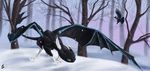  ambiguous_gender avian bird black_fur blue_eyes day detailed_background digital_media_(artwork) dragon dsw7 fan_character feral forest fur how_to_train_your_dragon membranous_wings night_fury nude outside snow snowing standing tree wings 